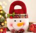 Apple Tote With Christmas Decorations