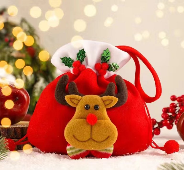 Apple Tote With Christmas Decorations